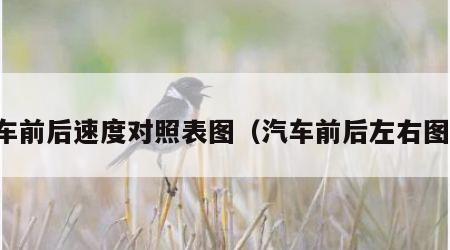 汽车前后速度对照表图（汽车前后左右图片）