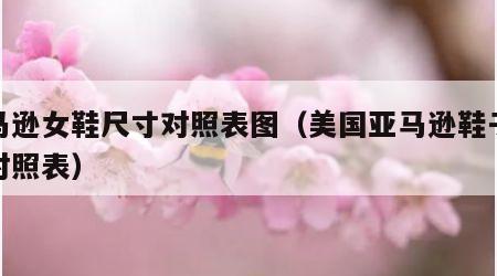 亚马逊女鞋尺寸对照表图（美国亚马逊鞋子尺码对照表）