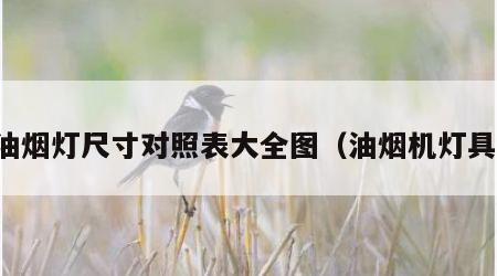 油烟灯尺寸对照表大全图（油烟机灯具）