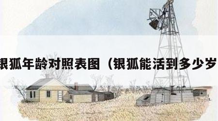 银狐年龄对照表图（银狐能活到多少岁）