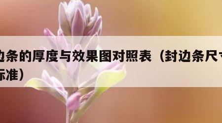 封边条的厚度与效果图对照表（封边条尺寸国家标准）