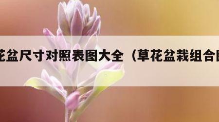 草花盆尺寸对照表图大全（草花盆栽组合图片）