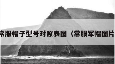 常服帽子型号对照表图（常服军帽图片）