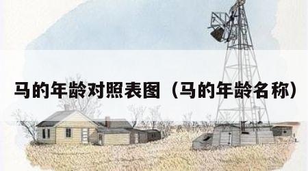 马的年龄对照表图（马的年龄名称）