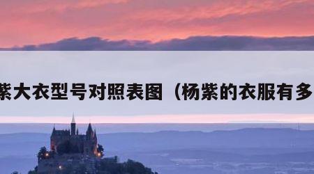 杨紫大衣型号对照表图（杨紫的衣服有多贵）