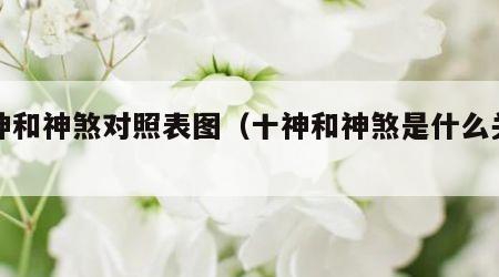 十神和神煞对照表图（十神和神煞是什么关系）