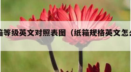 纸箱等级英文对照表图（纸箱规格英文怎么写）