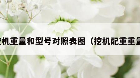 挖机重量和型号对照表图（挖机配重重量）