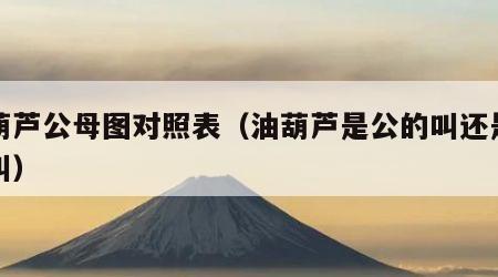 油葫芦公母图对照表（油葫芦是公的叫还是母的叫）
