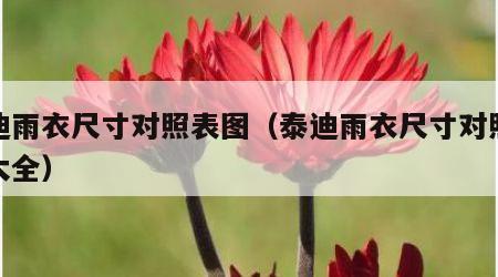 泰迪雨衣尺寸对照表图（泰迪雨衣尺寸对照表图大全）