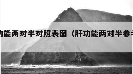 肝功能两对半对照表图（肝功能两对半参考值）