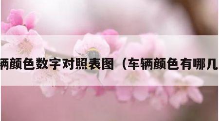 车辆颜色数字对照表图（车辆颜色有哪几种）