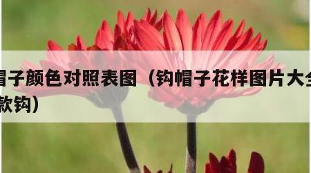 钩帽子颜色对照表图（钩帽子花样图片大全夏 新款钩）