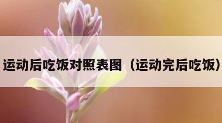 运动后吃饭对照表图（运动完后吃饭）