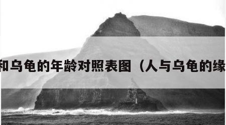 人和乌龟的年龄对照表图（人与乌龟的缘分）