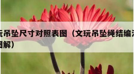 文玩吊坠尺寸对照表图（文玩吊坠绳结编法大全图解）
