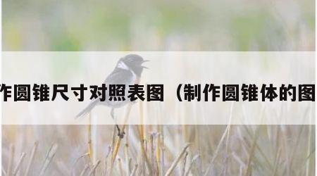 制作圆锥尺寸对照表图（制作圆锥体的图片）