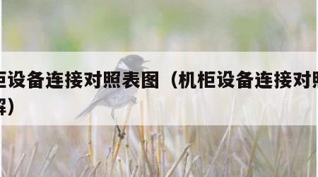 机柜设备连接对照表图（机柜设备连接对照表图解）