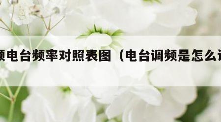 调频电台频率对照表图（电台调频是怎么设置的）