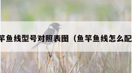 鱼竿鱼线型号对照表图（鱼竿鱼线怎么配置）