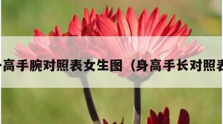 身高手腕对照表女生图（身高手长对照表）