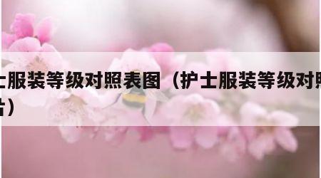 护士服装等级对照表图（护士服装等级对照表图片）