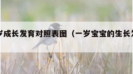 一岁成长发育对照表图（一岁宝宝的生长发育）