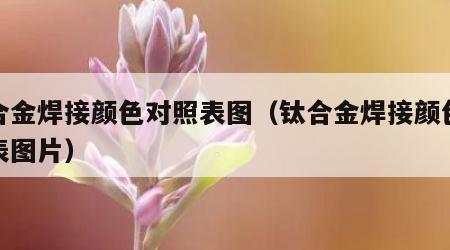 钛合金焊接颜色对照表图（钛合金焊接颜色对照表图片）