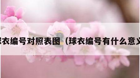 球衣编号对照表图（球衣编号有什么意义）