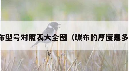 碳布型号对照表大全图（碳布的厚度是多少）