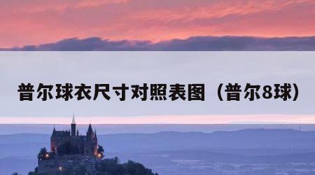 普尔球衣尺寸对照表图（普尔8球）