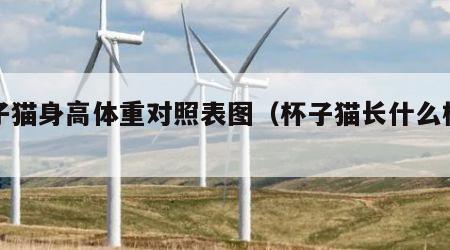 杯子猫身高体重对照表图（杯子猫长什么样子）