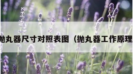 抛丸器尺寸对照表图（抛丸器工作原理）