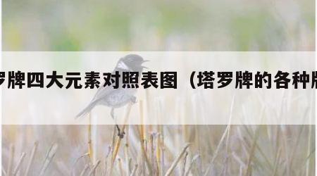 塔罗牌四大元素对照表图（塔罗牌的各种牌介绍）