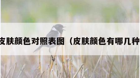 皮肤颜色对照表图（皮肤颜色有哪几种）