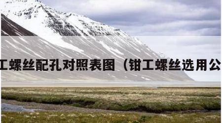 钳工螺丝配孔对照表图（钳工螺丝选用公式）