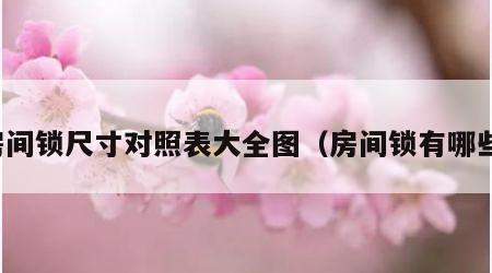 房间锁尺寸对照表大全图（房间锁有哪些）