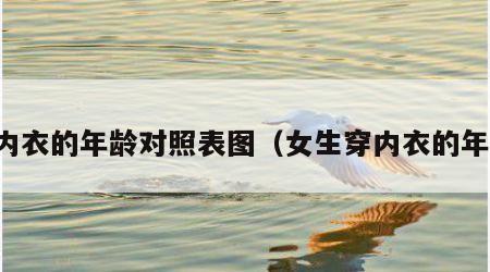 穿内衣的年龄对照表图（女生穿内衣的年龄）