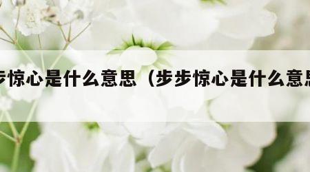 步步惊心是什么意思（步步惊心是什么意思解释）