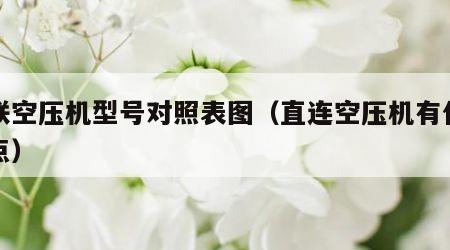 直联空压机型号对照表图（直连空压机有什么缺点）