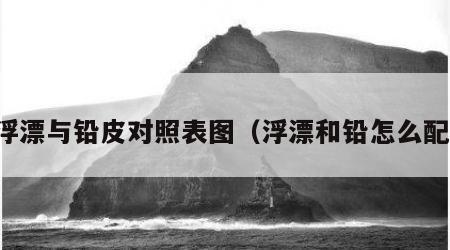 浮漂与铅皮对照表图（浮漂和铅怎么配）