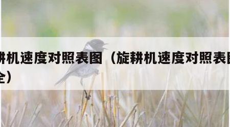 旋耕机速度对照表图（旋耕机速度对照表图片大全）