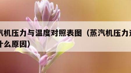 蒸汽机压力与温度对照表图（蒸汽机压力过高是什么原因）