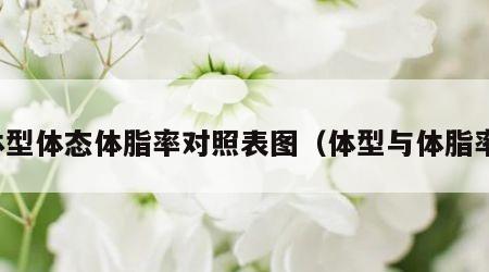 体型体态体脂率对照表图（体型与体脂率）