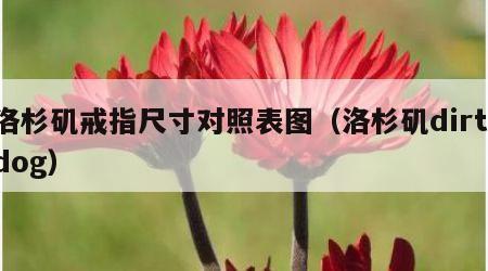 洛杉矶戒指尺寸对照表图（洛杉矶dirt dog）