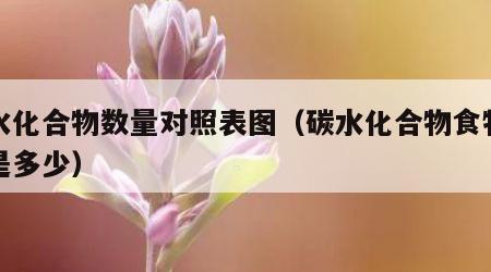 碳水化合物数量对照表图（碳水化合物食物比例是多少）