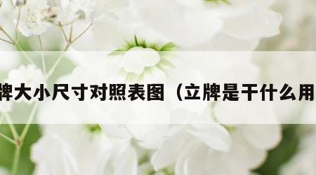 立牌大小尺寸对照表图（立牌是干什么用的）