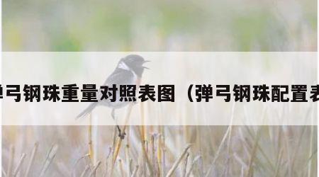 弹弓钢珠重量对照表图（弹弓钢珠配置表）