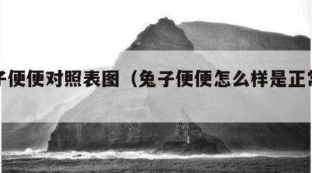 兔子便便对照表图（兔子便便怎么样是正常的）