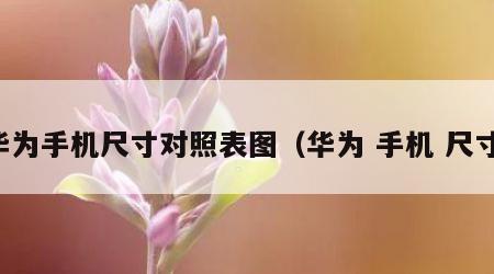 华为手机尺寸对照表图（华为 手机 尺寸）